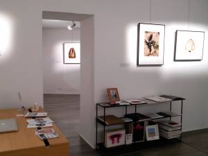 Galerie Parallax, expo photo à Aix-en-Provence (vue d'ensemble)