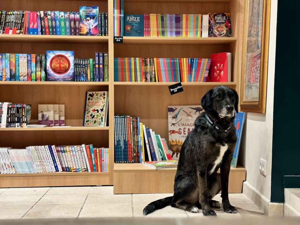 Le Chant du Monde est une librairie située à Aix en Provence qui donne à voir différents genres littéraires et un coffee shop pour un déjeuner sur le pouce ou une pause café. (chien)