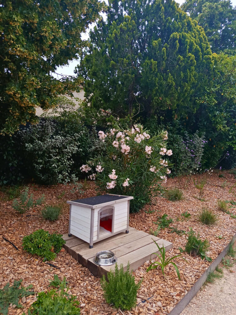 À Meyreuil, La Récré du Chat accueille les félins dans une pension pensée comme un cocon. Confort, bien-être et attention sont au cœur de chaque séjour (abri jardin)