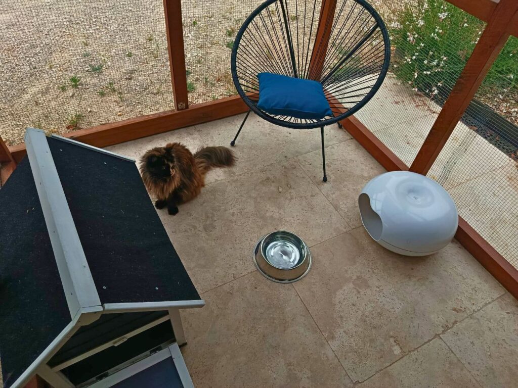 À Meyreuil, La Récré du Chat accueille les félins dans une pension pensée comme un cocon. Confort, bien-être et attention sont au cœur de chaque séjour (chambre solo)
