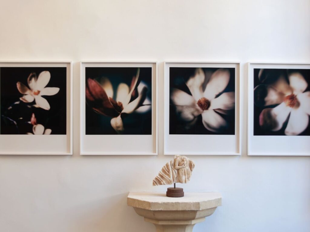 Au centre d’art Gallifet d'Aix-en-Provence, plus de cent images, dont certaines inédites, retracent trente-trois ans du regard unique du photographe François Halard (fleurs)