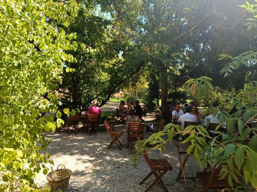Restaurant saisonnier à Aix-en-Provence, l’Orangerie de Cézanne propose une cuisine ultra fraîche dans le cadre enchanteur de la Bastide du Jas de Bouffan (jardin)